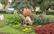 В Ярославле прошла презентация цветочных композиций «Ярославль многоликий», расположенных возле часовни Александра Невского. Фоторепортаж