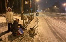 «Часть ошейника пробила борт»: в Ярославле водитель маршрутки сбил двух собак