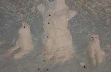 В ярославском парке появилась выставка снежных скульптур