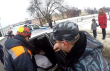 В Ярославле появился пес, берущий в заложники чужие авто