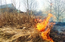 «Женщина теряла сознание»: Ярославская область оказалась в огне травяных пожаров