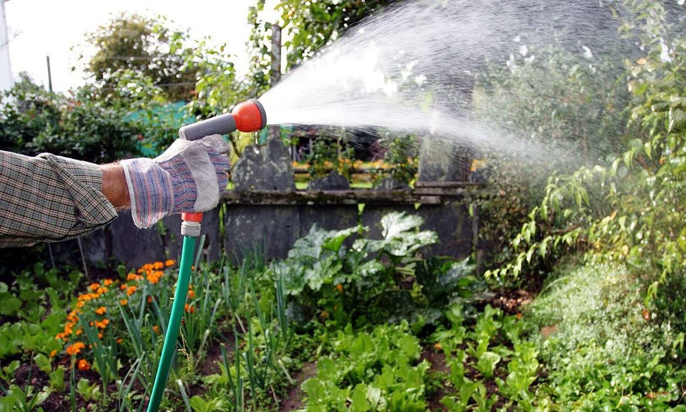 Жителей Ярославской области просят экономить воду при поливе огородов и наполнении бассейнов