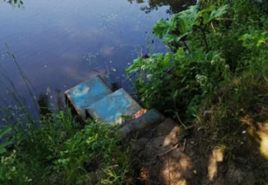 В Ярославской области четырехлетний мальчик утонул в пруду