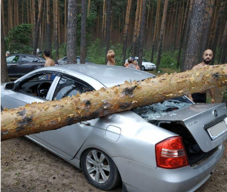 Под Ярославлем на Прусовских карьерах дерево упало на машину