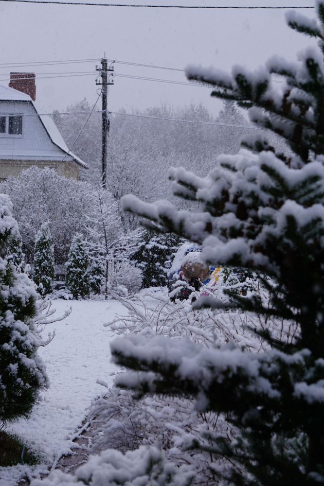В области выпал снег. Снег в Ярославской области. Снег видео. Выпал снег грусть. Сон что выпал снег.