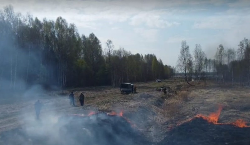 В Ярославской области зарегистрирован первый лесной пожар