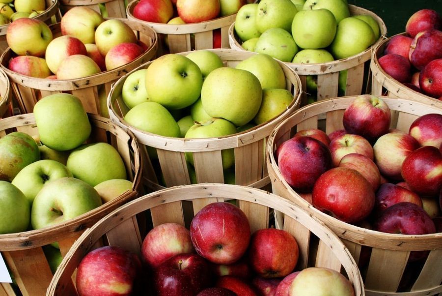 Вкусные яблоки разных сортов