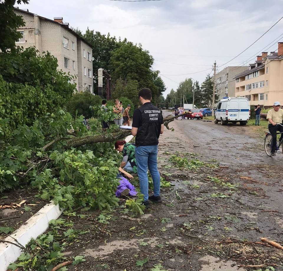 Ярославский следком начал проверку из-за гибели пенсионерки от упавшего дерева