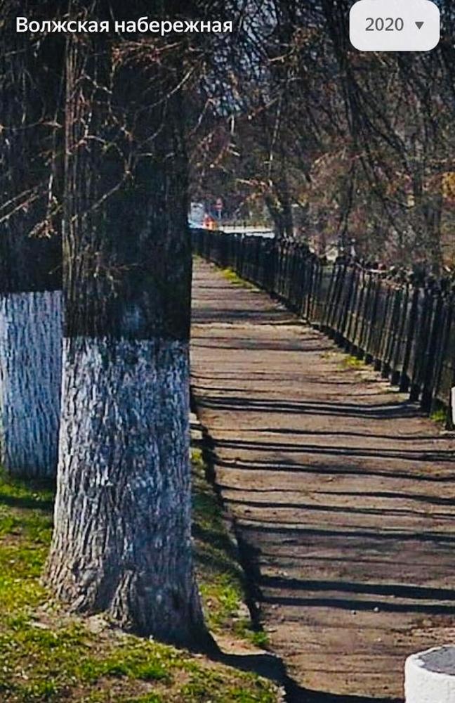 Детский омбудсмен требует вернуть чугунный забор в центре Ярославля