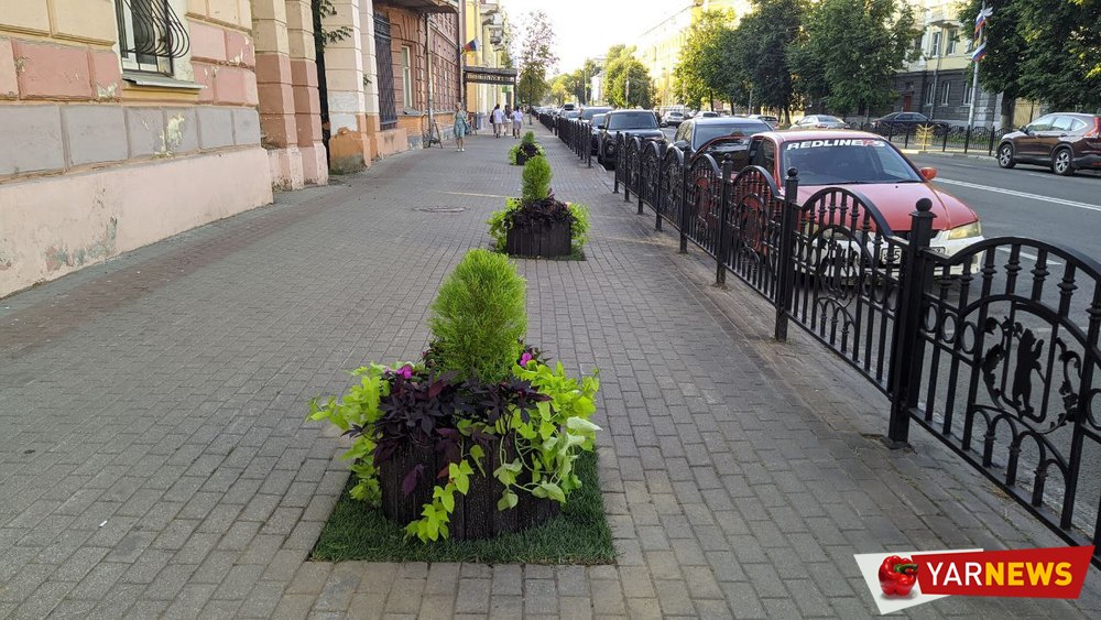 В Ярославле вместо погибших деревьев появились клумбы с цветами