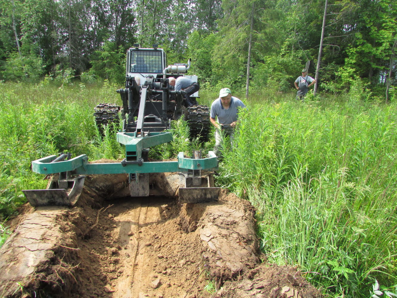 В Ярославской области идут работы по подготовке почвы под искусственное лесовосстановление