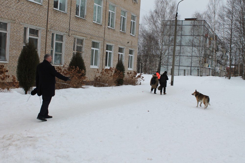 Покусавшей переславских школьников собаке найдут нового хозяина