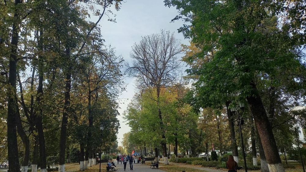 Эксперт объяснил переименование части бульвара Мира в Ярославле