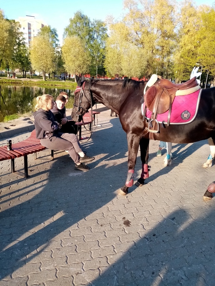 Ярославцы отказываются от прогулок в парке из-за запаха лошадиной мочи