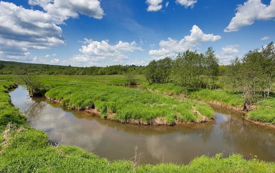 На расчистку реки в Ярославской области потратят почти 33 миллиона