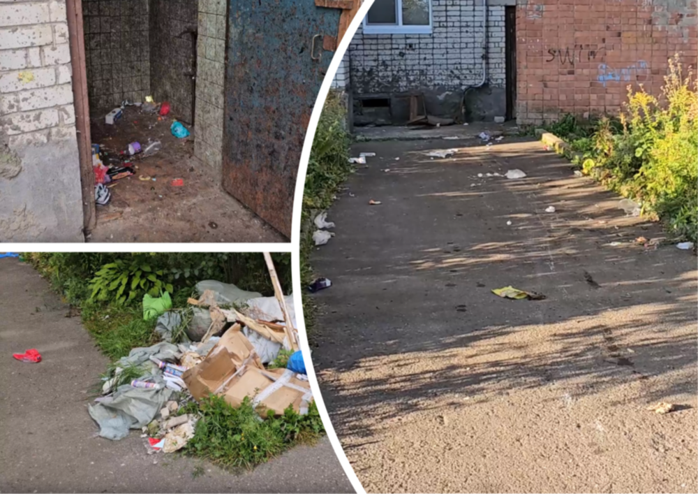 Замусоренный двор в Рыбинске должны были очистить жители