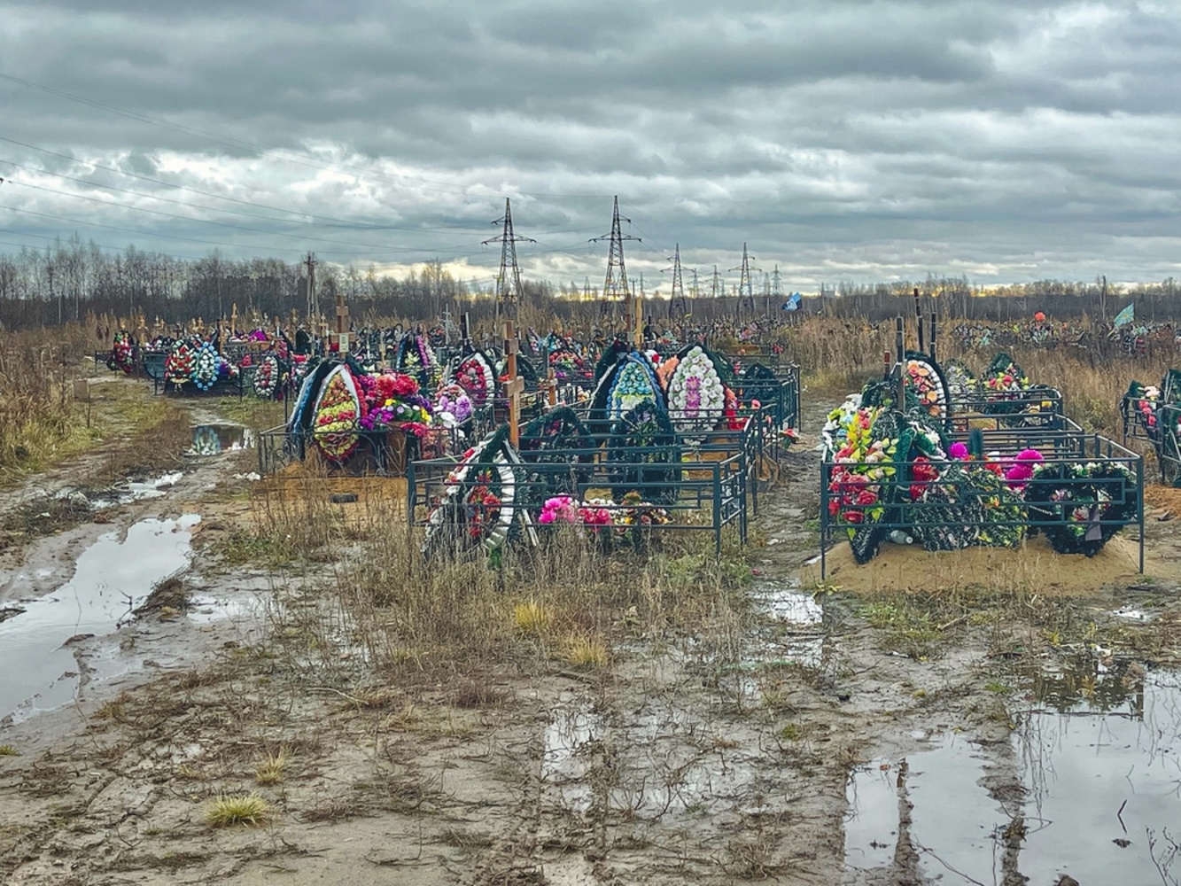Ярославский депутат намерен победить жижу на Осташинском кладбище