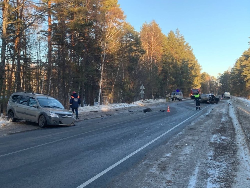 По факту смертельного ДТП в Борисоглебском районе возбуждено уголовное дело