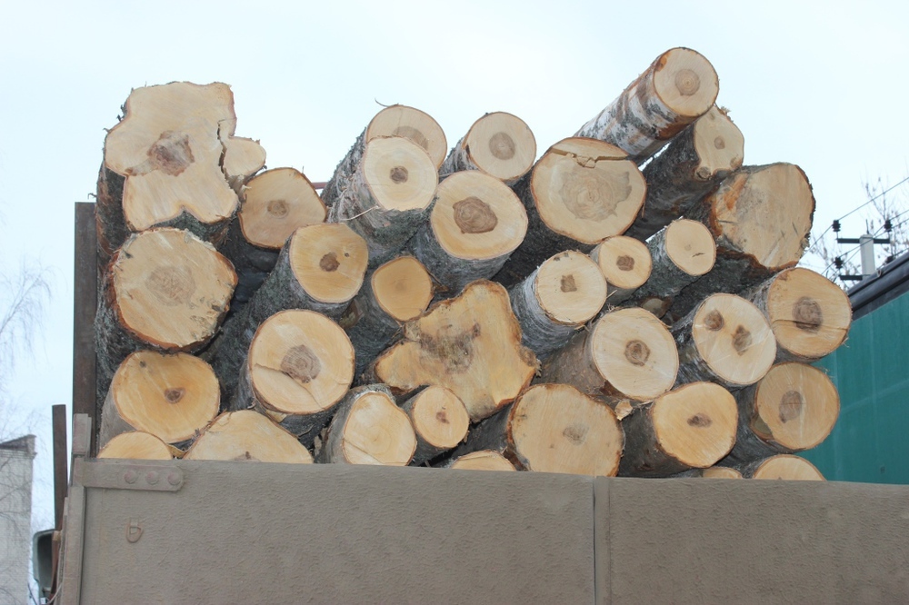 Ярославских лесозаготовителей привлекли за неправильное складирование древесины
