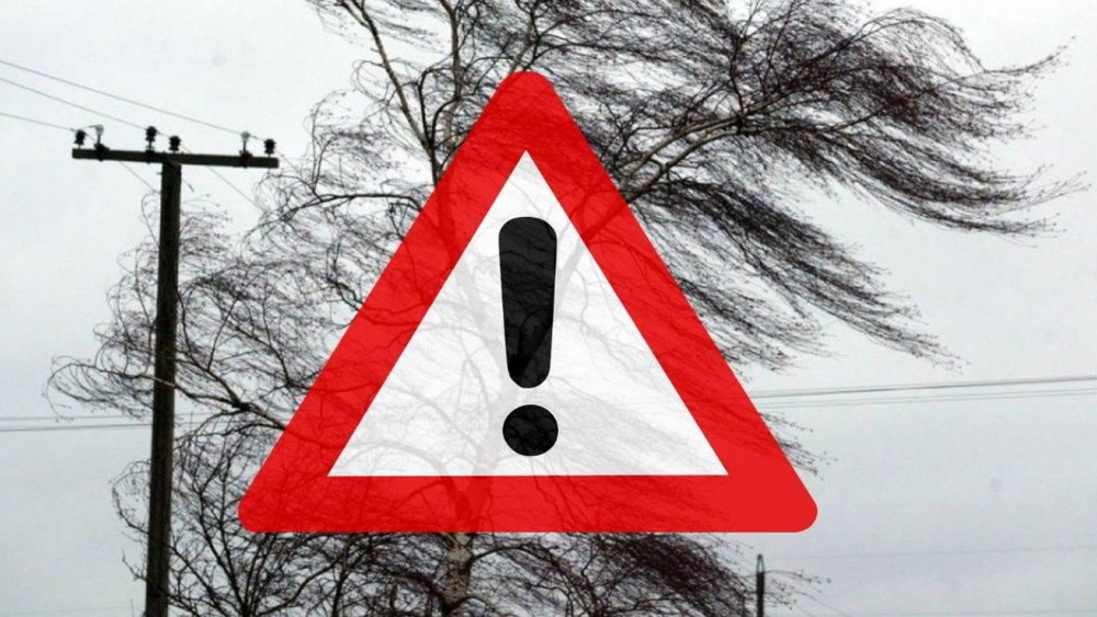 МЧС предупреждает ярославцев о сильном ветре