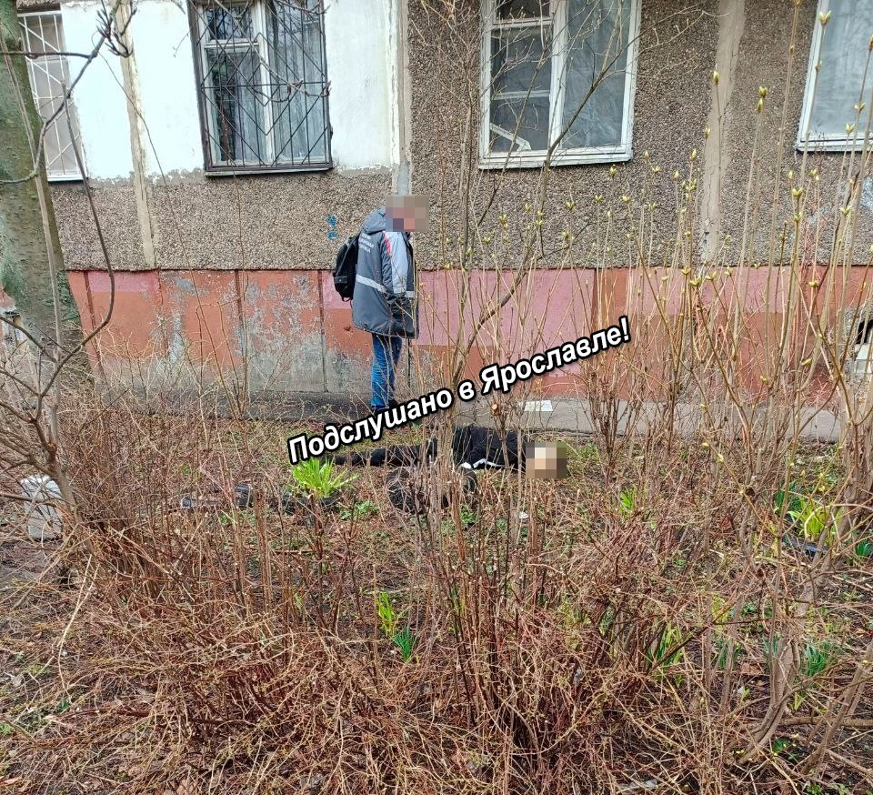 Во дворе дома в Брагино обнаружен труп мужчины