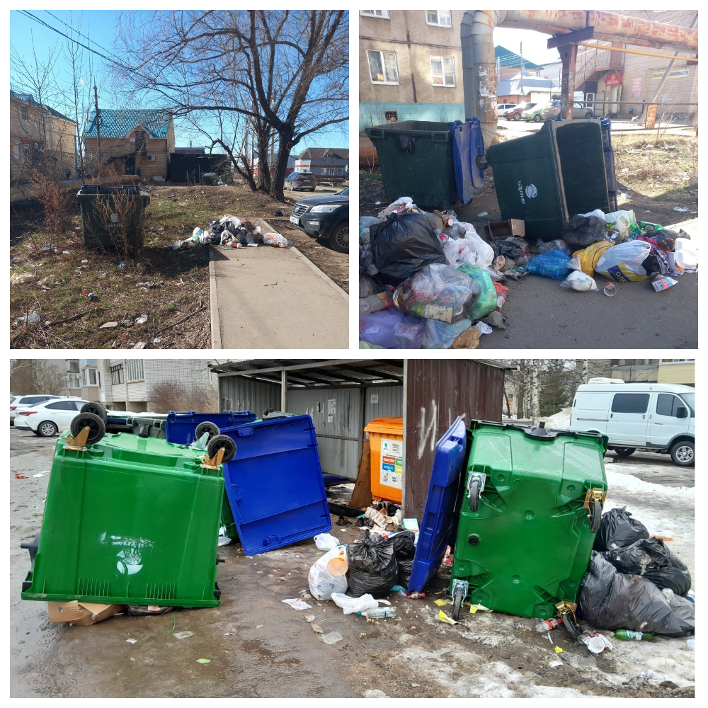 В Ростове появился борец с мусорными контейнерами