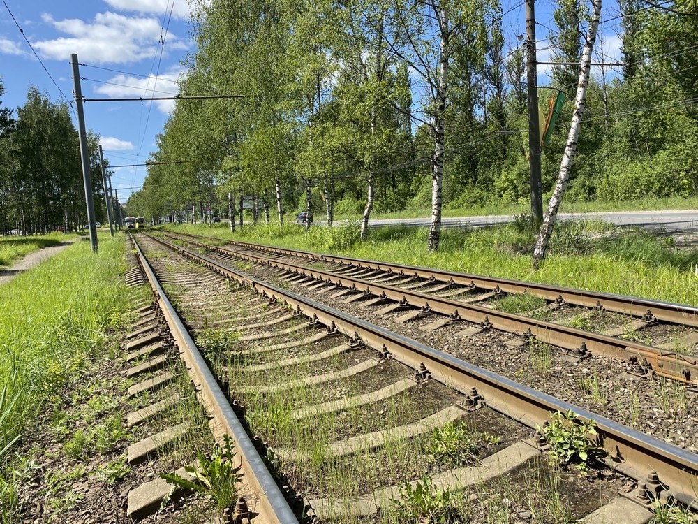 В Ярославле назначены общественные обсуждения проекта новой трамвайной сети