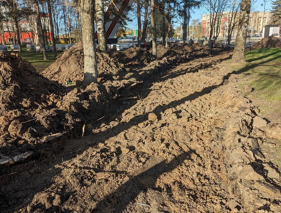 «Обрубили корни»: ярославцы жалуются на благоустройство парка в Брагино