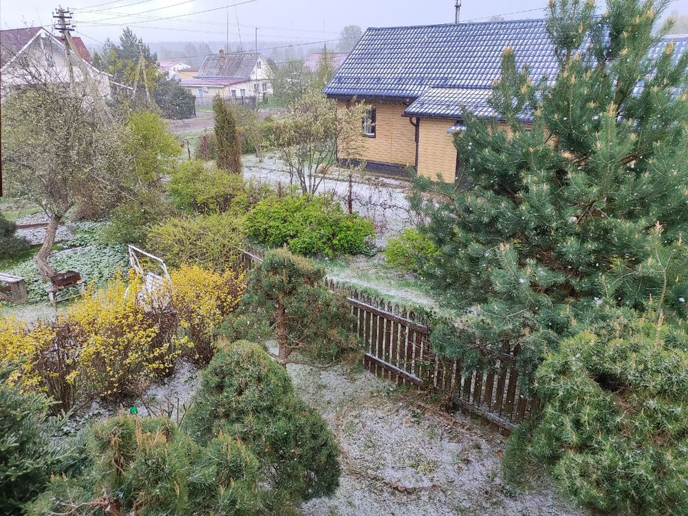 В Ярославской области продолжит бушевать непогода