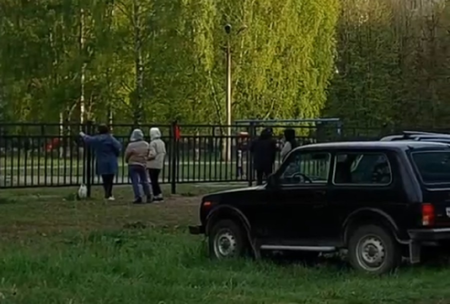 В Ярославле собак отпускают на самовыгул на школьную спортплощадку