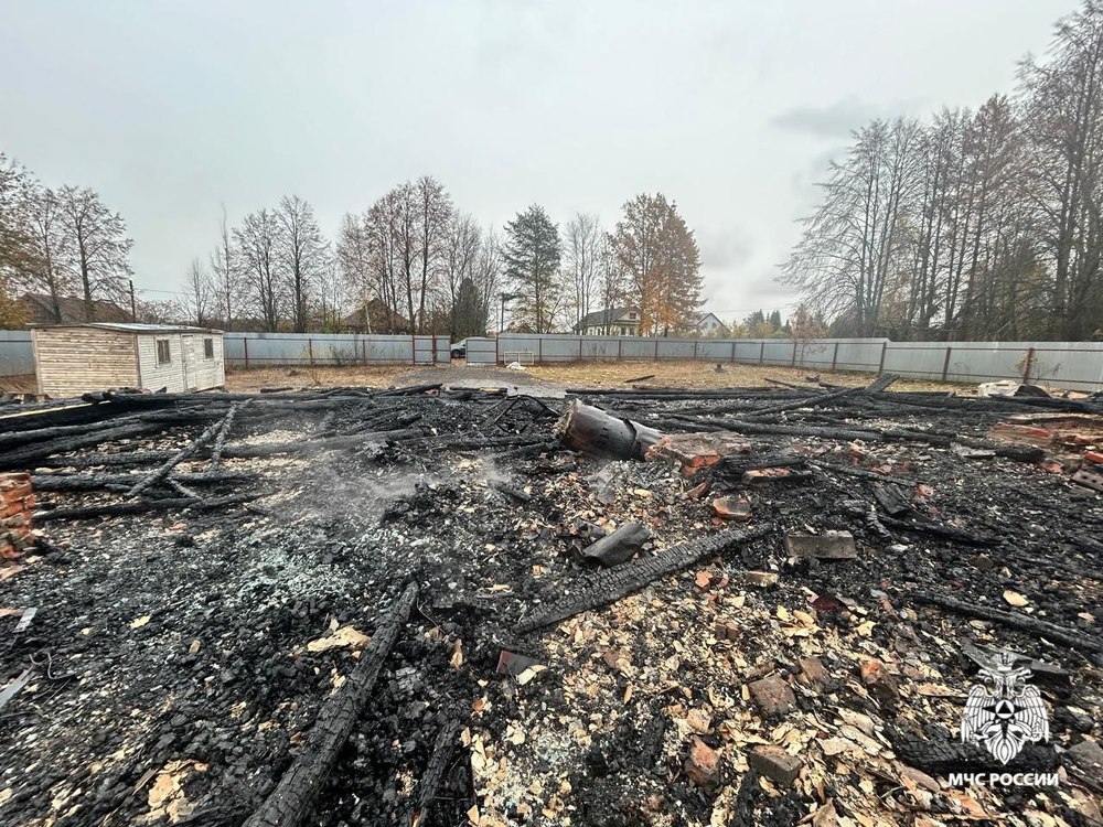 В Ярославской области в птичнике сгорели полторы сотни индюшек