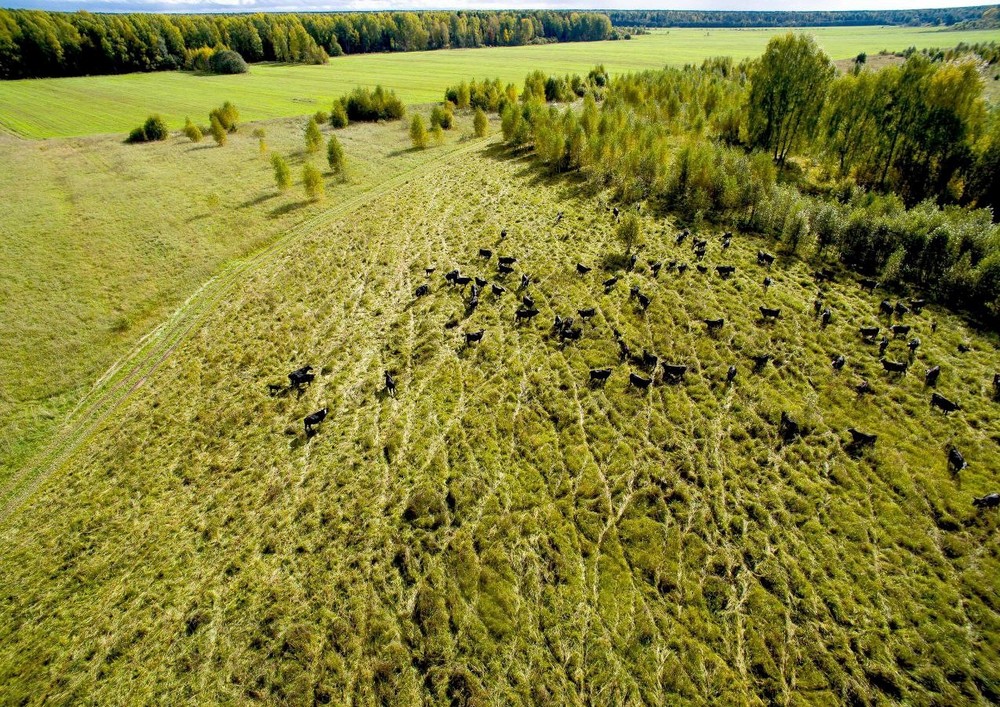 Ярославская область вошла в ТОП-5 рейтинга прироста продукции АПК