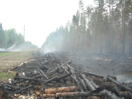 В Ярославской области готовятся к летним лесным пожарам