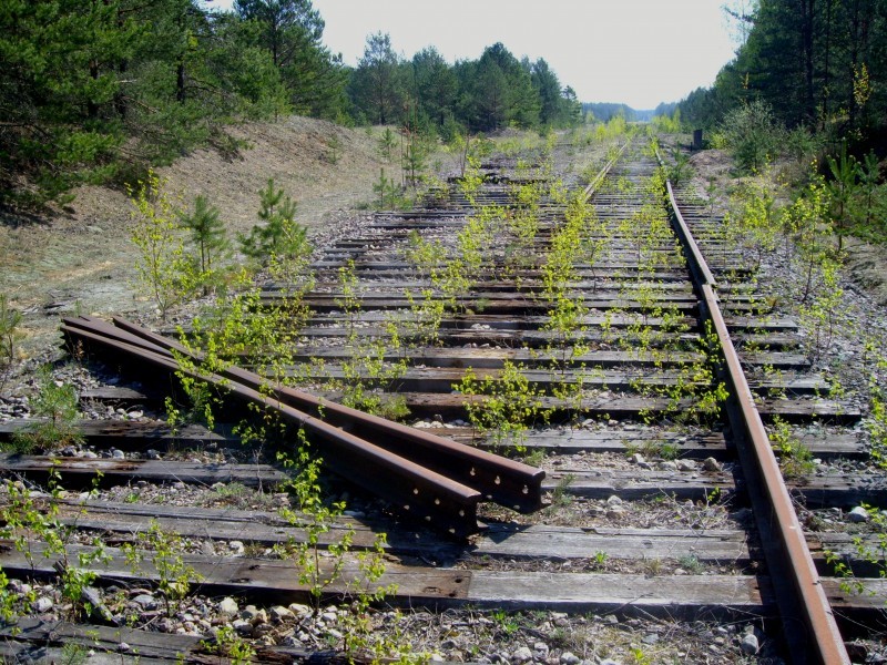 В Ярославской области с железнодорожных путей воруют рельсы