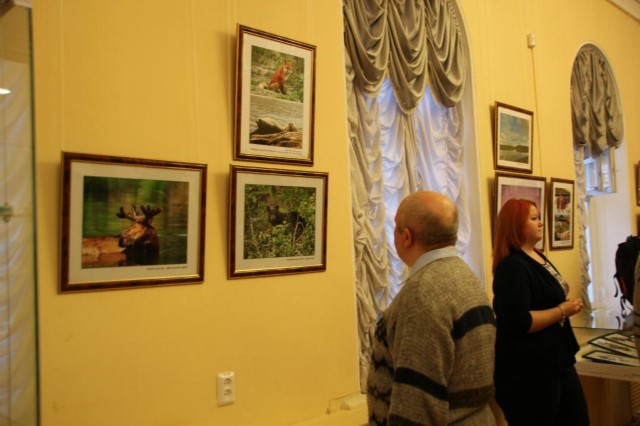 В Музее истории Ярославля открылась выставка «Русская Америка: возвращение к родным берегам»