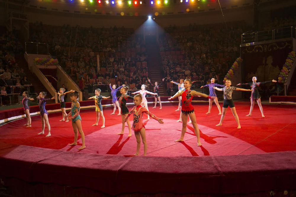 В Ярославском цирке состоялся итоговый гала-концерт проекта «Арена возможностей»