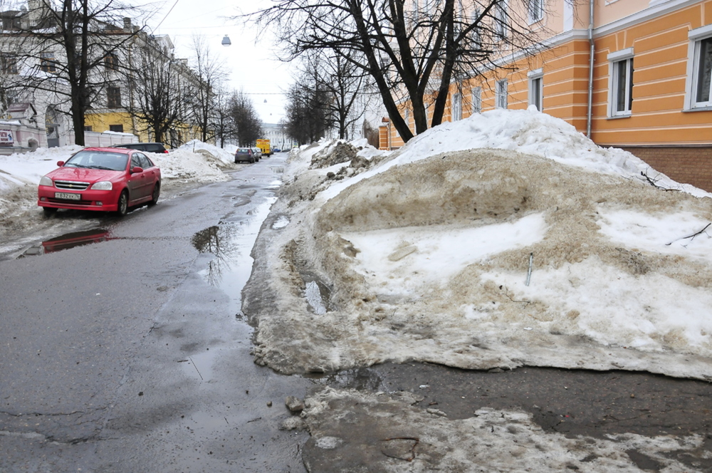 Никогда не видели снега