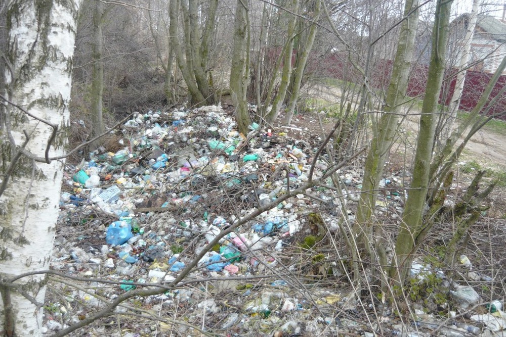 Из лесов Ярославской области вывезли более 1600 кубометров мусора