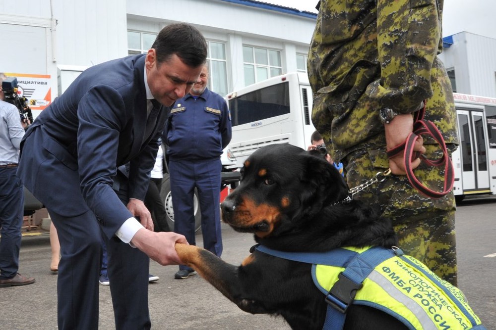 Сторож в ярославле свежие