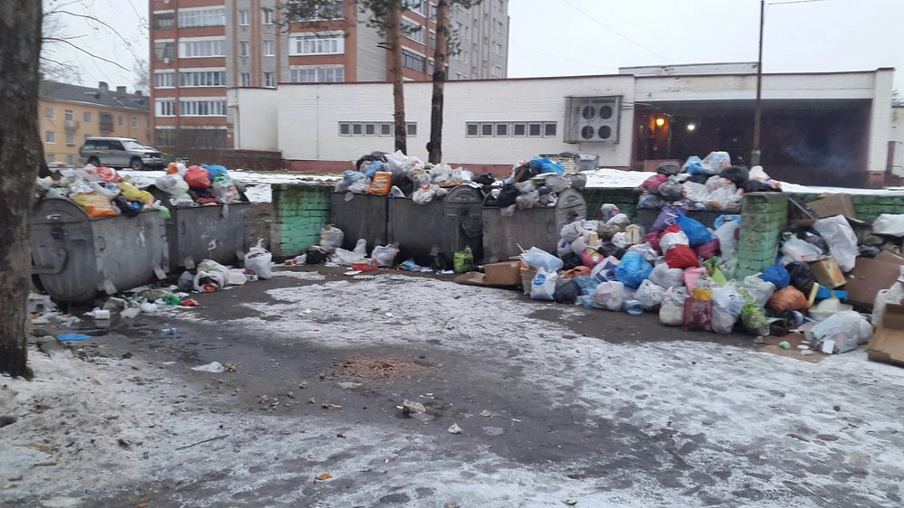 Жителей Ярославля завалило мусором