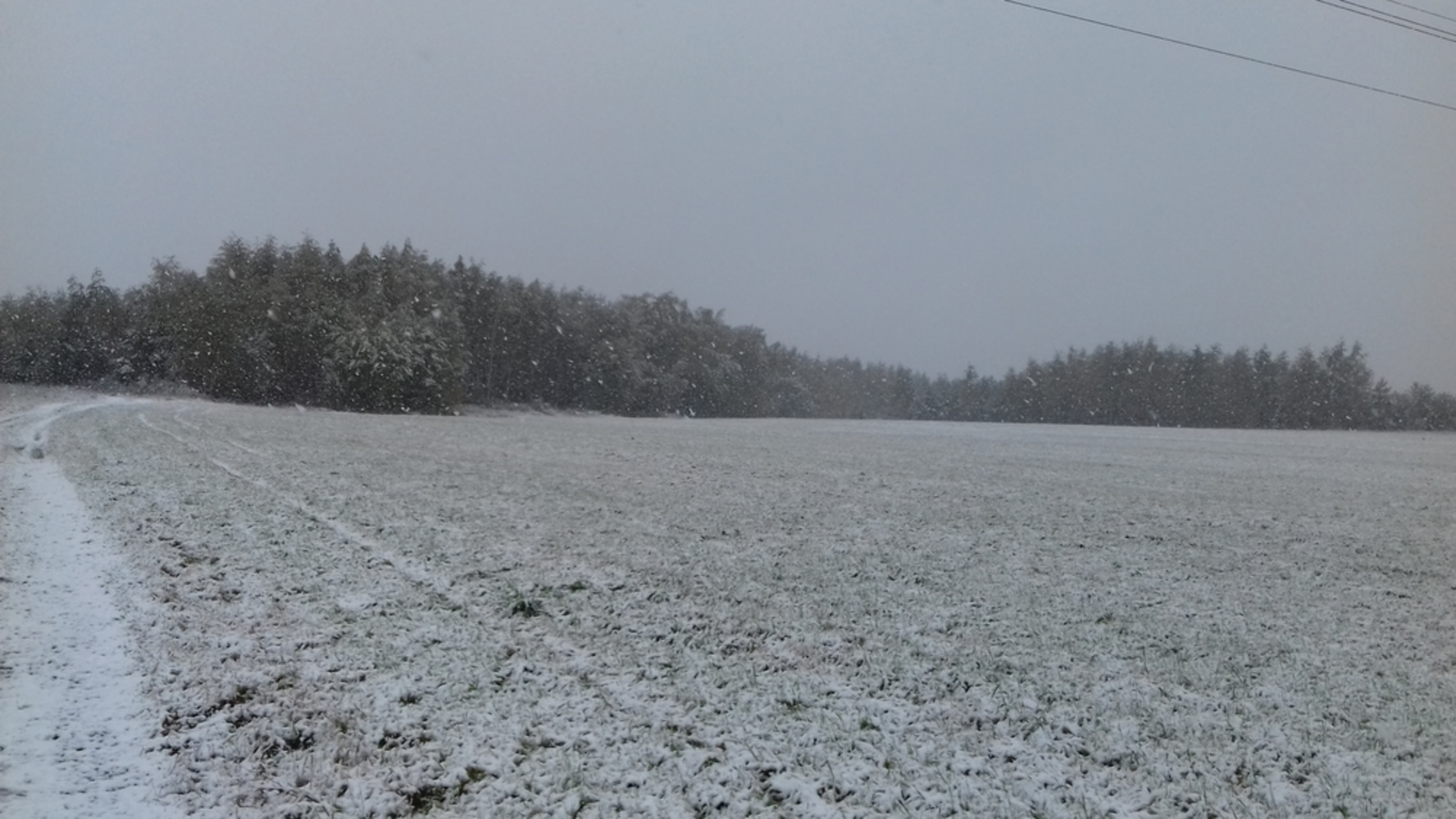 Снег в сентябре какая. Снег выпал утром в Шатковском районе. Бурмакино фото. 168 Утр однажды утром выпал снег. Видео поменял резину и выпал снег.
