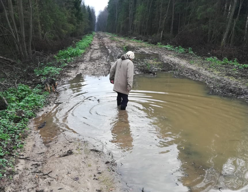 Дорогу отремонтировали на бумаге: жители деревни в Ярославской области отрезаны от цивилизации