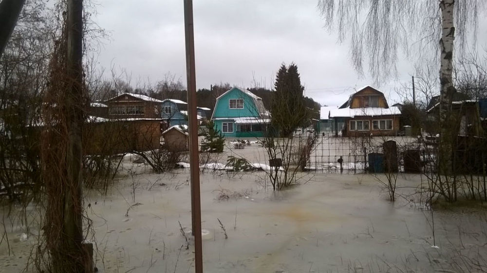 «Вода стоит по окна и постоянно прибывает»: садоводы опровергли официоз ярославских чиновников