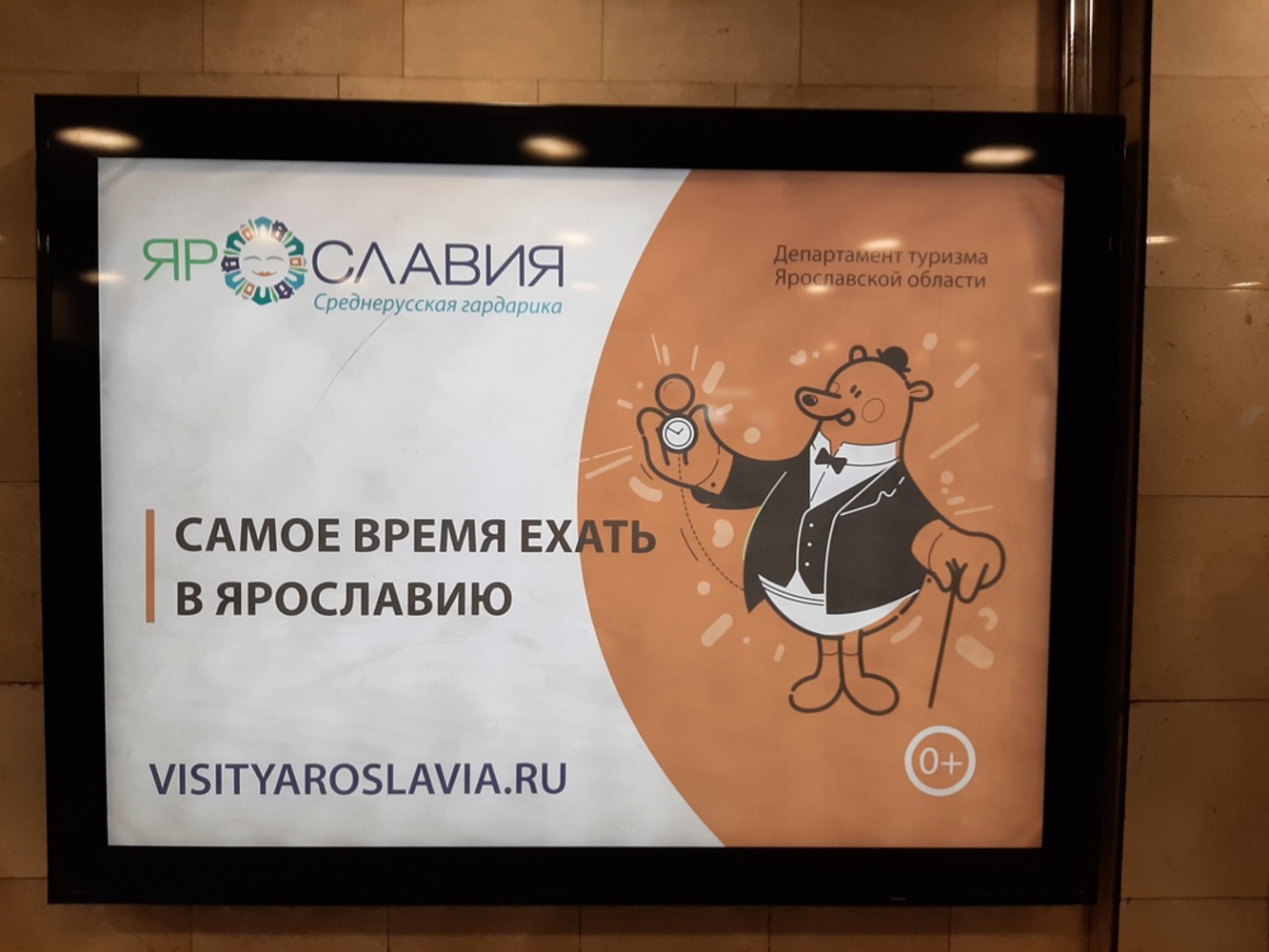 Медведь без штанов приглашает москвичей в Ярославию