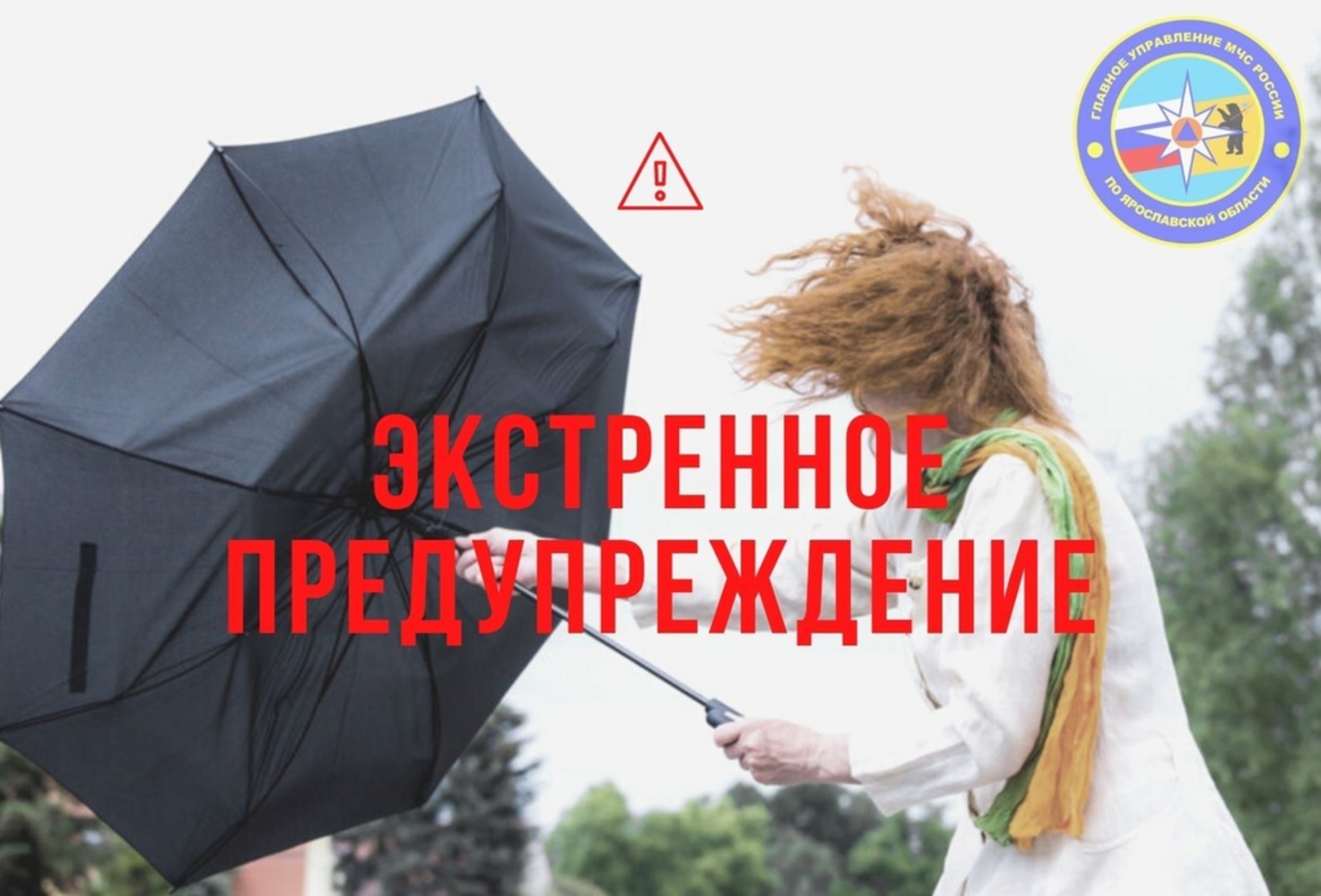 Экстренное предупреждение МЧС: в Ярославской области усилится ветер