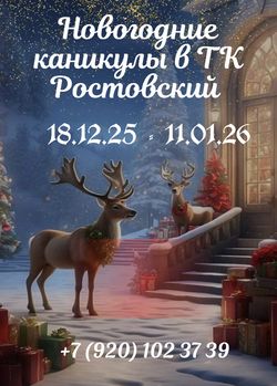 Ростовский_НГ_26г