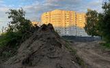 В Ярославле на месте березовой рощи могут построить дом в 24 этажа