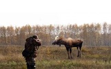 В Ярославской области сына чиновника, обязанного пресекать незаконную охоту, подозревают в браконьерстве