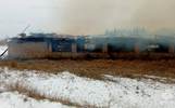 В Костромской области сгорела ферма с животными