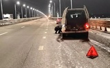 В Ярославле на Юбилейном мосту появилась яма-убийца